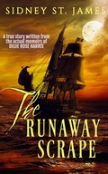 Cover: The Runaway Scrape (The Faith Chronicles, #1) - Beebop Publishing Group