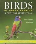 Cover: Birds of North America - Johns Hopkins University Press