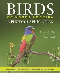 Abbildung von: Birds of North America - Johns Hopkins University Press