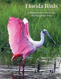 Abbildung von: Florida Birds - Globe Pequot