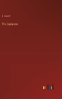 Enlarge image Cover: The Gadarene - Outlook Verlag