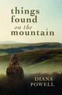 Cover: Things Found on the Mountain - Seren