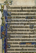Cover: Studies in Manuscript Illumination, 1200-1400 - Pindar Press