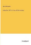Cover: Ireland in 1872 a Tour of Observation - Anatiposi Verlag