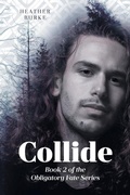 Cover: Collide - Page Publishing