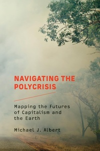 Abbildung von: Navigating the Polycrisis - MIT Press