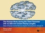 Bild: The Human Brain during the Third Trimester 310- to 350-mm Crown-Rump Lengths - Taylor & Francis