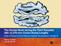 Abbildung von: The Human Brain during the Third Trimester 260- to 270-mm Crown-Rump Lengths - Taylor & Francis