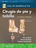 Cover: Vias de abordaje de cirugia de pie y tobillo. Un enfoque anatomico - Lippincott Williams & Wilkins
