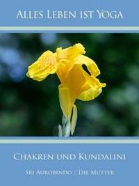 Abbildung von: Chakren und Kundalini - AURO MEDIA Verlag und Fachbuchhandel Wilfried Schuh