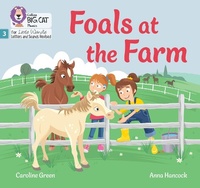 Enlarge image Cover: Foals at the Farm - Collins