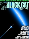 Cover: Black Cat Weekly #99 - Wildside Press