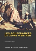 Cover: Les Souffrances du jeune Werther - Librofilio