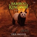 Cover: Bamboo Kingdom #4: The Dark Sun - HarperCollins