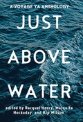 Cover: Just Above Water - DISCOVER NEW ART LLC