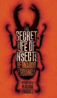 Enlarge image Cover: The Secret Life of Insects and Other Stories - VALANCOURT BOOKS