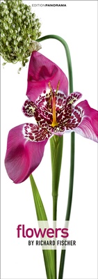 Abbildung von: Flowers - Edition Panorama