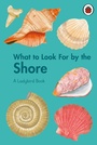 Cover: What to Look For by the Shore - Ladybird
