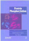 Cover: Protein Phosphorylation - Academic Press