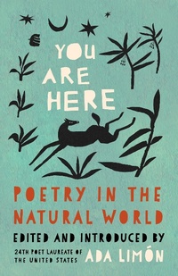 Enlarge image Cover: You Are Here - Milkweed Editions