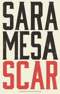 Abbildung von: Scar - Dalkey Archive Press
