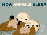 Enlarge image Cover: How Animals Sleep - Red Comet Press LLC