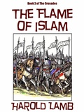 Cover: The Flame of Islam - Alien eBooks