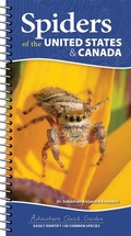 Cover: Spiders of the United States - Adventure Publications, Incorporated