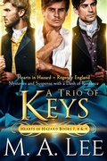 Cover: A Trio of Keys (Hearts in Hazard) - Writers Ink Books