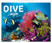 Abbildung von: Dive 2025 - Delius Klasing
