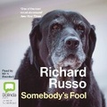Cover: Somebody's Fool - Bolinda Audio Books