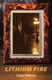 Enlarge image Cover: Lithium Fire - Bookland Press