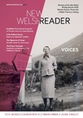 Cover: New Welsh Reader 133 (New Welsh Review, autumn 2023) - New Welsh Rarebyte