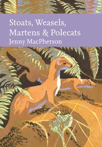 Bild: Stoats, Weasels, Martens and Polecats - William Collins