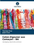 Cover: Calon-Zigeuner aus Camacari - BA - Verlag Unser Wissen