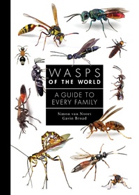 Enlarge image Cover: Wasps of the World - Princeton University Press