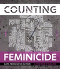Cover: Counting Feminicide - MIT Press