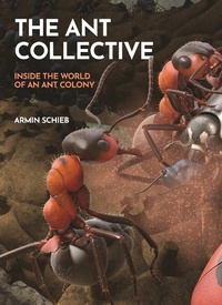 Abbildung von: The Ant Collective - Princeton University Press
