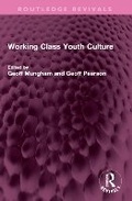 Cover: Working Class Youth Culture - Routledge