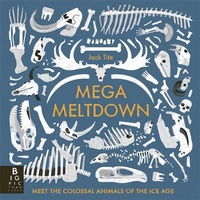 Enlarge image Cover: Mega Meltdown - Big Picture Press