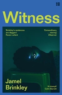 Abbildung von: Witness - Fourth Estate Ltd