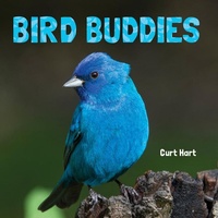 Enlarge image Cover: Bird Buddies - Flowerpot Press