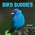 Cover: Bird Buddies - Flowerpot Press