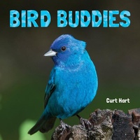 Enlarge image Cover: Bird Buddies - Flowerpot Press
