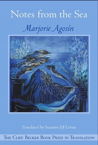 Enlarge image Cover: Notes from the Sea - White Pine Press