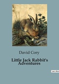 Cover: Little Jack Rabbit's Adventures - Culturea
