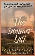 Cover: The Summer Lull (Small Town Secrets, #13) - L.J. Breedlove