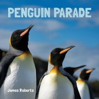 Enlarge image Cover: Penguin Parade - Flowerpot Press