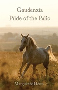 Cover: Gaudenzia - Anpan Publications