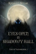 Cover: Eyes Open In Shadowy Hall - Vaeldor House LLC